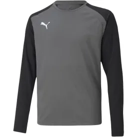 Puma Teampacer Gk Ls Jersey Goalkeeper Sweatshirt Grey 704939 43 152Cm