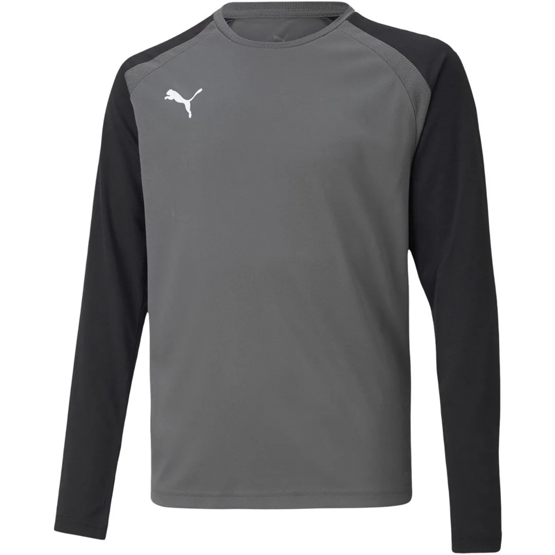 Puma Teampacer Gk Ls Jersey Goalkeeper Sweatshirt Grey 704939 43 152Cm